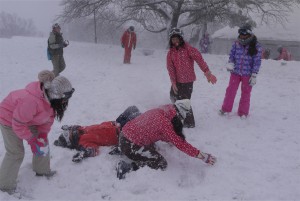 一晩でこの雪。