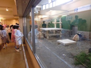 [  ジャイアントパンダには皆な釘付け  ]
