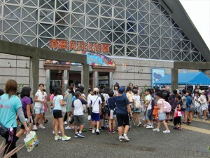 [   須磨海浜水族館には様々な種類の魚がいます  ]  