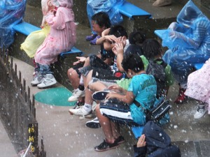 [   最前列の子どもたちはイルカのジャンプで水しぶきを浴びます  ]  