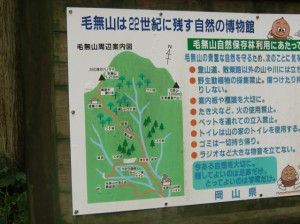 [　目指すは標高1218mの毛無山です　]