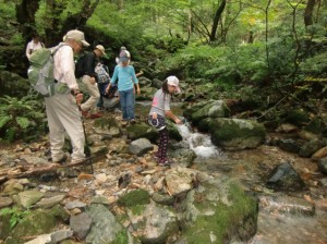 [　下山口には沢の清らかな水が　]