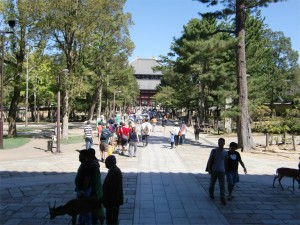 東大寺まで行った班もいたのかな